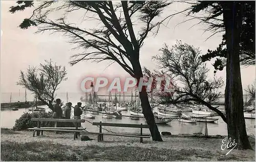 Cartes postales moderne Ile d'Oleron (Chte Mme) La Cotiniere Le Raccomodage des filets au Port Bateaux
