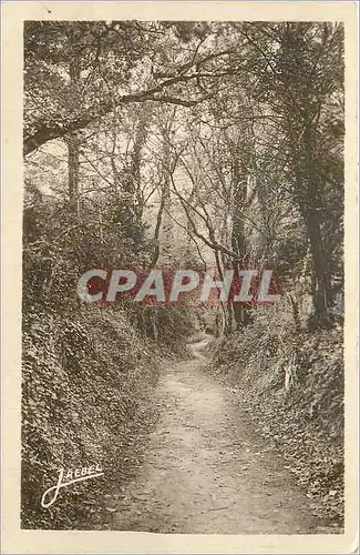 Cartes postales Carolles Chemin Ombrage Conduisant a la Plage
