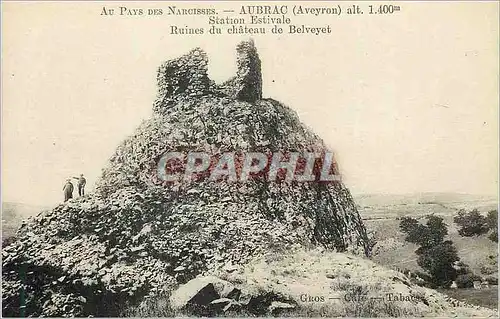 Ansichtskarte AK Aubrac (Aveyron) Au Pays des Naroisses alt 1400 m Station Estivale Ruines du Chateau de Belveyet