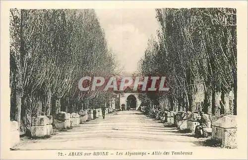 Ansichtskarte AK Arles sur Rhone les Alyscamps Allee des Tombeaux