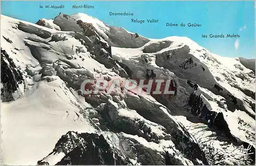 Cartes postales moderne Chamonix (Haute Savoie) au Sommet de l'Aiguille du Midi Le Mont Maudit Dromadaire Refuge Vallot