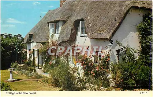 Cartes postales moderne Cottage in the New Forest