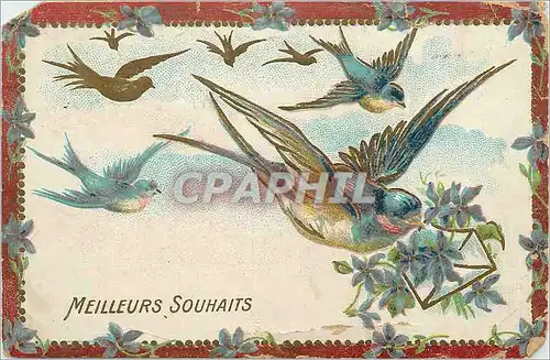 Cartes postales Meilleurs Souhaits Oiseau