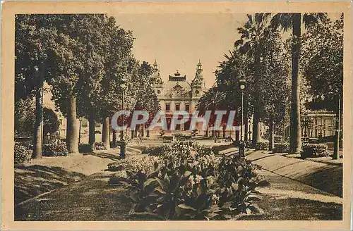 Cartes postales Principaute de Monaco Monte Carlo Les Jardins et le Casino