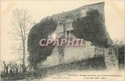 Cartes postales Provins Vestiges du Palais des Comtes de Champagne et de Brie (XIIe Siecle)
