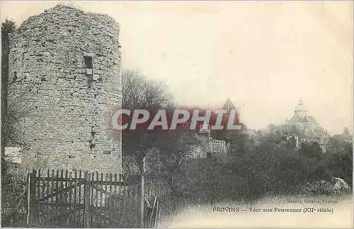 Ansichtskarte AK Provins Tour aux Pourceaux (XIIe Siecle)