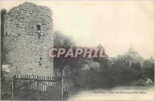 Cartes postales Provins Tour aux Pourceaux (XIIe Siecle)