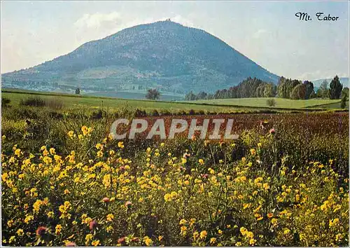 Cartes postales moderne Mont Tabor