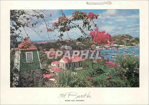 Cartes postales moderne St Barth