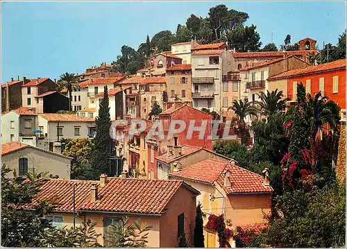 Cartes postales moderne Bormes les Mimosas (Var) cote d'Azur France Vue Generale sur la Station