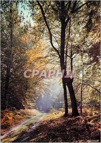 Moderne Karte Paysage de France Je suis d'un pas reveur le Sentier Solalire (Lamartine)