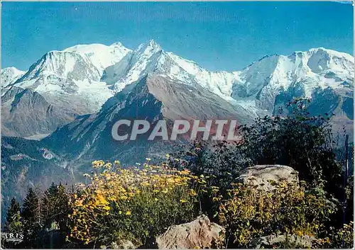 Cartes postales moderne Massif du Mont Blanc depuis le Bettex