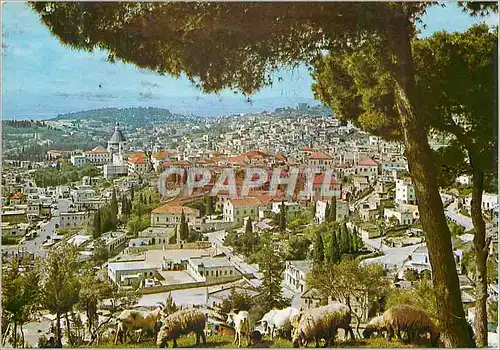 Moderne Karte Nazareth Vue Generale Berger Moutons Chevres