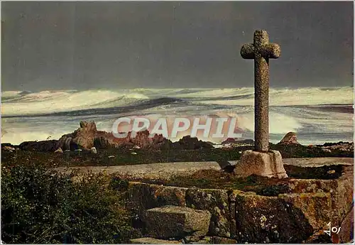 Cartes postales moderne Au Creux des Aigues Mortes Ou Parmi la Bruyere Il Garde ses Regrets