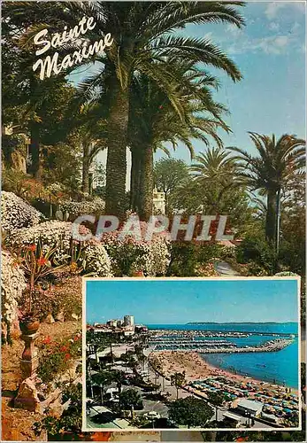 Cartes postales moderne Souvenir de la Sainte Maxime Cote Varoise