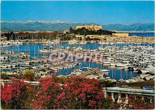 Moderne Karte Antibes (A M) Cote d'Azur Le Port de Plaisance au Fond le Fort Carree et les Alpes Neigeuses Bat