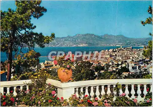 Cartes postales moderne Cannes (A M) La Cote d'Azur Vue Panoramique sur Cannes le Golfe de la Napoule et l'Esterel