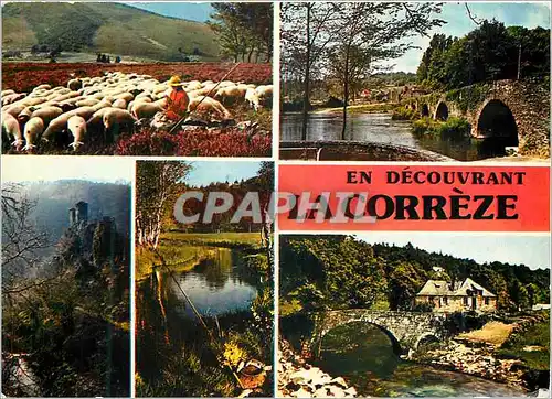 Cartes postales moderne En Decouvrant La Correze Berger Moutons Peche