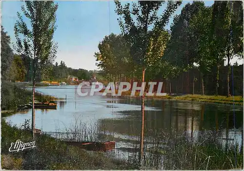 Cartes postales moderne Melun (S et M) Les Bords de la Seine