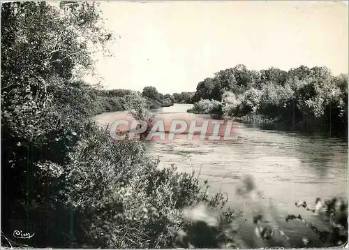 Cartes postales moderne Champigny sur Yonne (Yonne) L'Yonne a la Tuilerie vue de Courlon