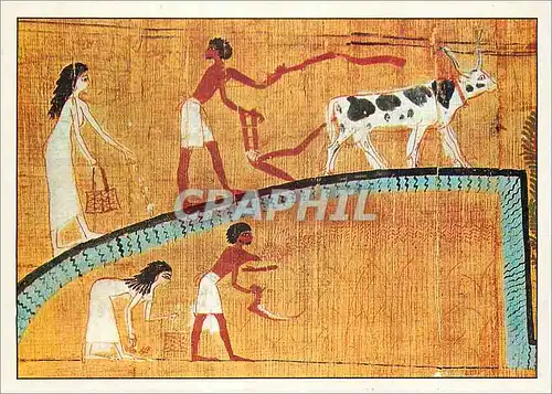 Cartes postales moderne Le Caire Musee Egyptien Herouben et sa Femme cultivant le Champ de Labou