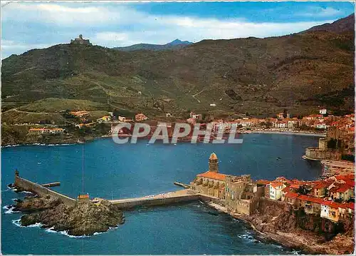 Cartes postales moderne Collioure Vue Generale