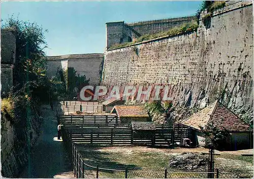 Cartes postales moderne Besancon (Doubs) Interieur de la Chapelle Le Zoo