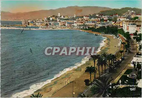 Cartes postales moderne Cannes La Cote d'Azur La Croisette et le Suquet