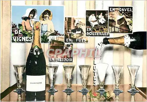 Cartes postales moderne Souvenir Champenois Champagne