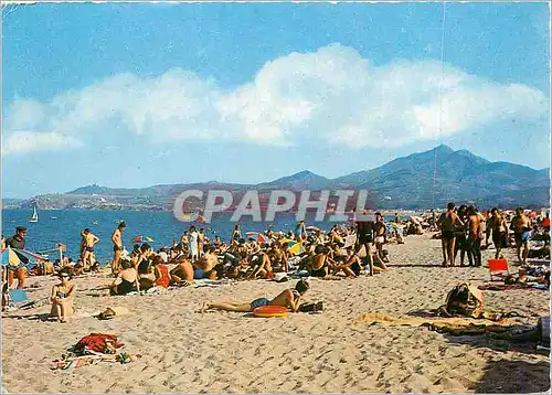 Cartes postales moderne Argeles sur Mer (P O) La Plage