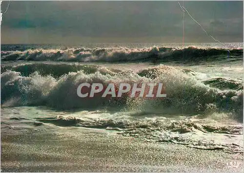 Cartes postales moderne La Mer Cote Sableuse