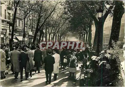 Cartes postales moderne Barcelona La Rambla des Fleurs