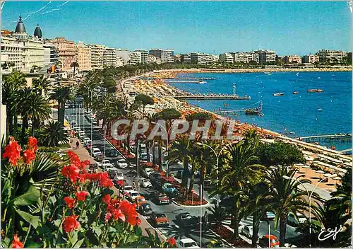 Moderne Karte Cannes (A M) La Cote d'Azur Le Carlton Le Miramar et le Martinez