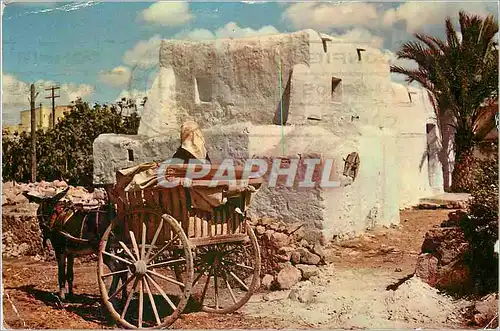 Cartes postales moderne Ibiza (Baleares) Construciones Maison et Charrette Typiques Ane Donkey