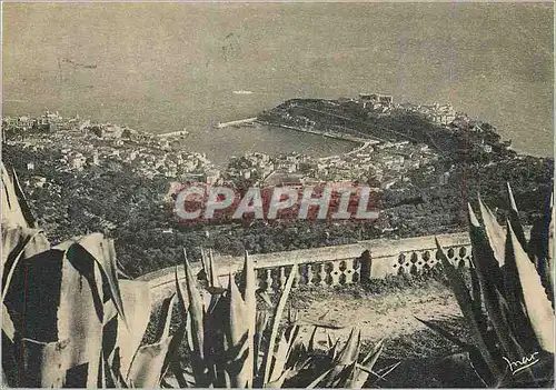 Cartes postales moderne Monaco et Monte Carlo Principaute de Monaco Vus de la Turbie