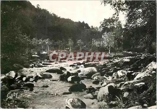 Cartes postales moderne Le Fouet (Morbihan) La Riviere de l'Elle au Moulin Blanc