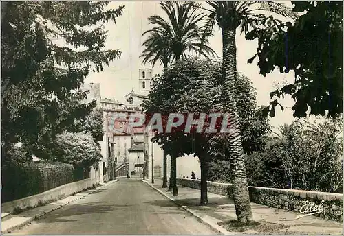 Cartes postales moderne Grasse Boulevard Fragonard