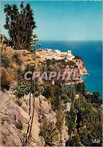 Cartes postales moderne Principaute de Monaco Reflets de la Cote d'Azur Le Rocher de Monaco Le Musee Oceanographique vus