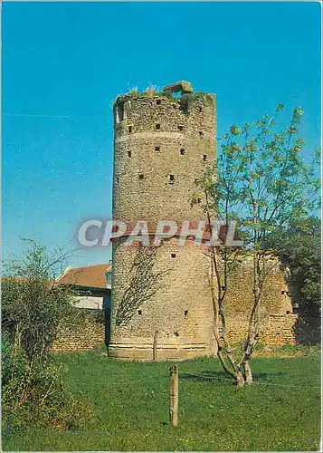 Cartes postales moderne La Cote Fleurie Merville Franceville (Calvados) La Vieille Tour