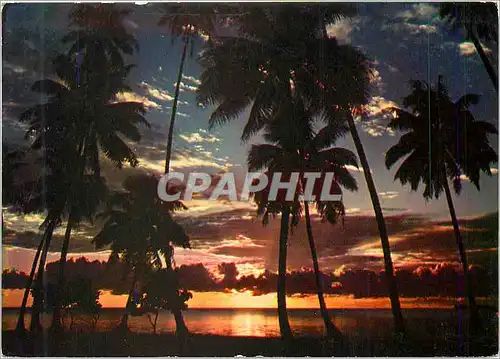Cartes postales moderne Afrique en Couleurs Coucher de Soleil