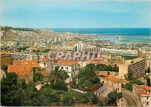 Cartes postales moderne Alger La Blanche Vue Generale