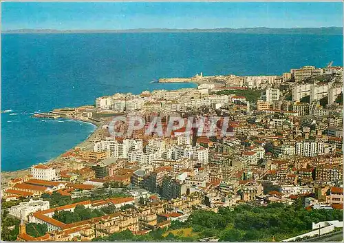 Cartes postales moderne Alger La Blanche Vue sur les Quartiers de Bab El Oued