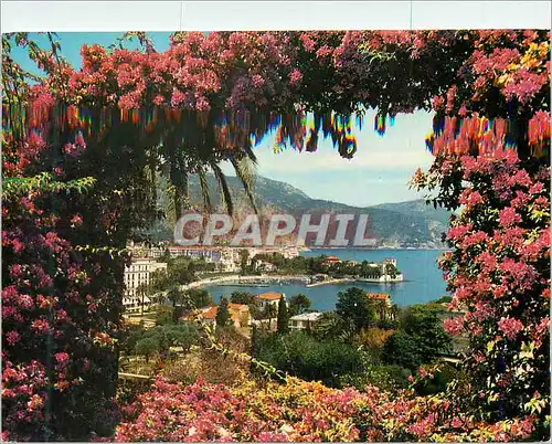 Cartes postales moderne Beaulieu sur Mer La Cote d'Azur La Baie et la Villa Kerylos