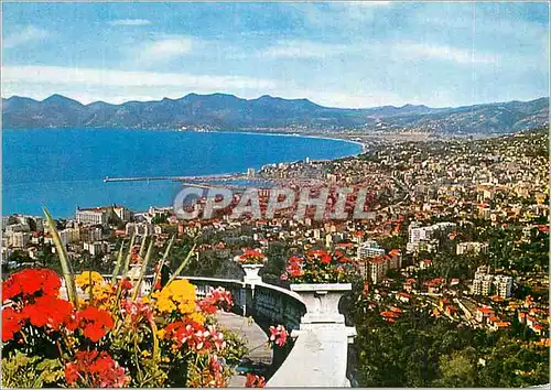 Cartes postales moderne Cannes Vue Generale prise de la Californie