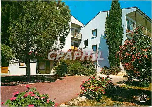 Cartes postales moderne Roquebrune Vacances PTT Cote d'Azur Un Coin Fleuri