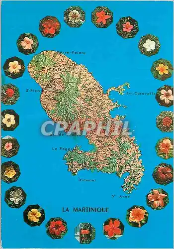 Cartes postales moderne Martinique Madinina L'Ile aux Fleurs Hibiscus