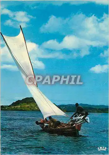 Cartes postales moderne Martinique Course de Gommiers Bateau