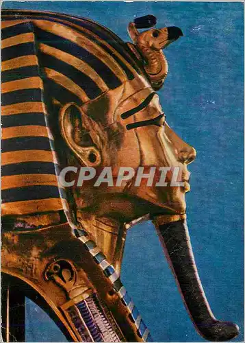 Cartes postales moderne Kairo Museum Chazt des Tut Ench Amun Portratmaske des Konigs Profil Hol