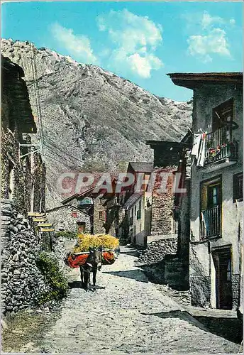 Moderne Karte Valls d'Andorra Canillo (alt 1531 m) Vieille rue Pittoresque de Canillo Ane Donkey