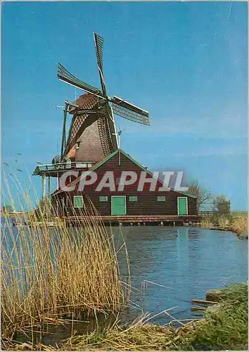 Cartes postales moderne Zaanstad De Zaanse Schans Verfmolen De Kat